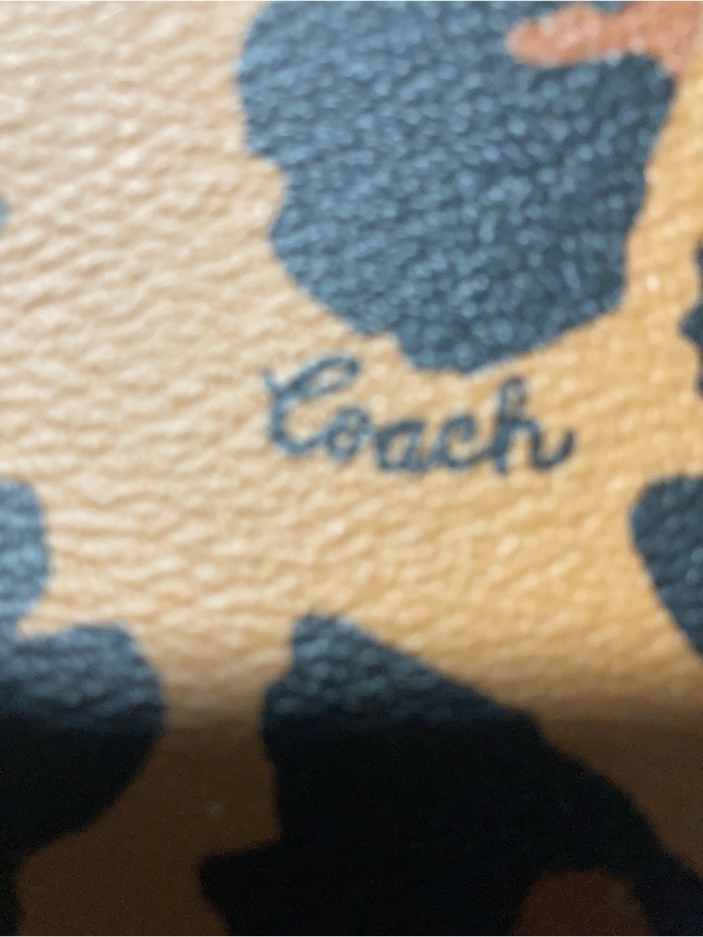 Coach Nolita 19 With Leopard Print Wristlet/Mini Bag NWT - Picture 7 of 10